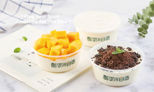 酸奶自造廈門飲品品牌設(shè)計